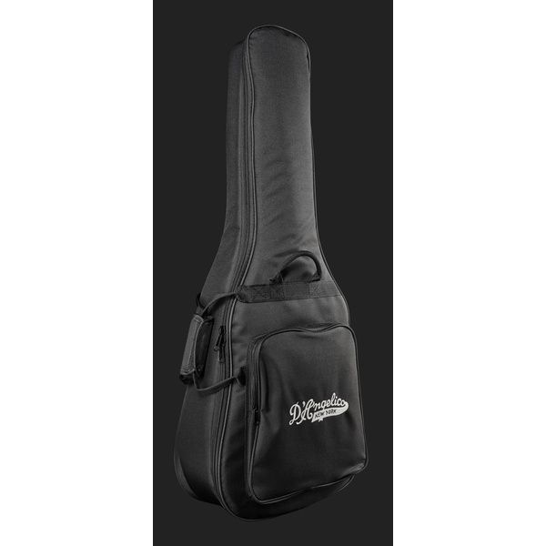 DAngelico Excel SS Soho Amaretto Burst