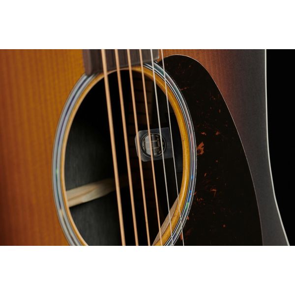 Martin Guitar DX2E Ziricote Burst