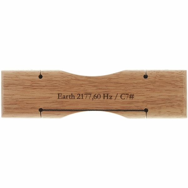 Meinl Energy Chime Earth