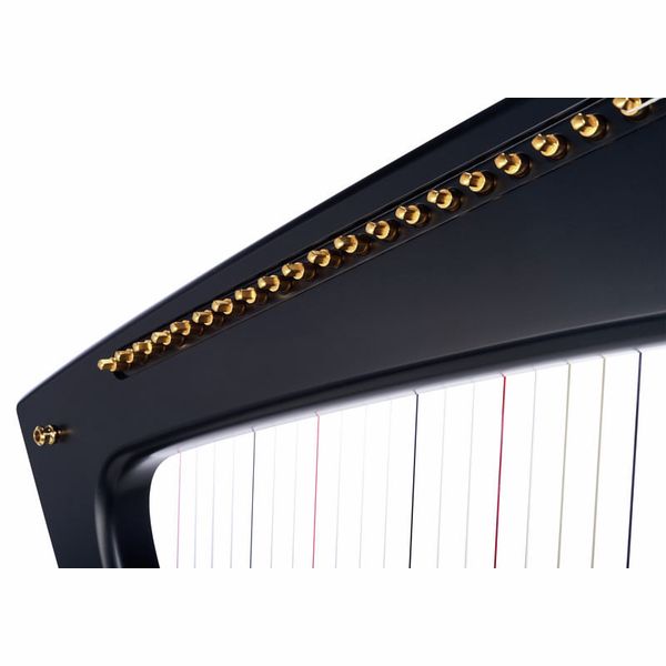 Salvi Delta Electric Harp Ebony