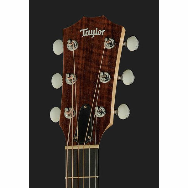 Taylor Big Baby Taylor BBT