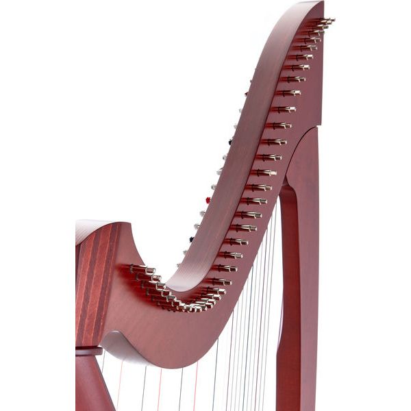 Salvi Titan Mahogany Spario Biocarb.