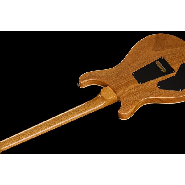 PRS DGT Birds Charcoal '24