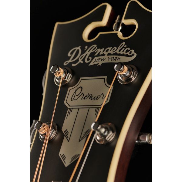 DAngelico Premier Lexington LS SVSB