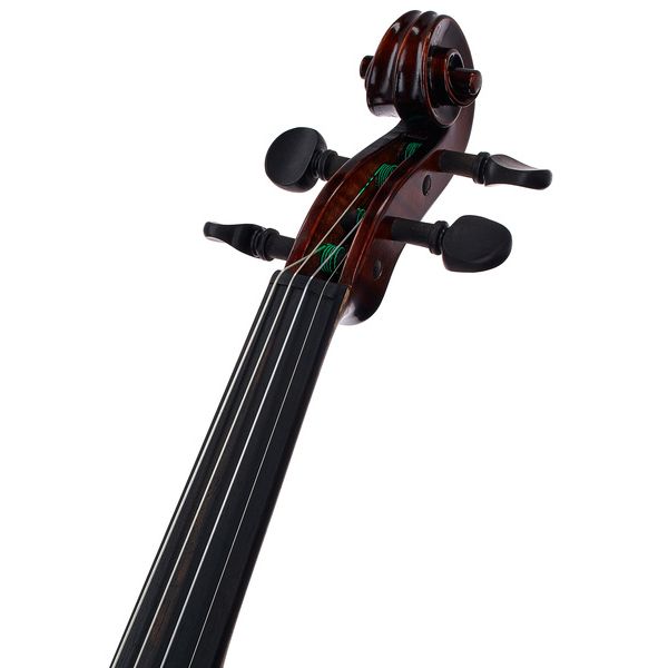 Gewa Georg Walther Violin GBA