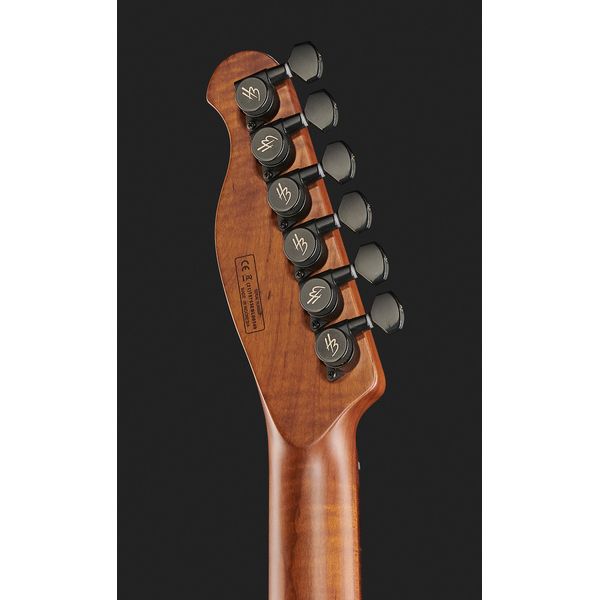 Harley Benton Fusion-T HH Roasted WM