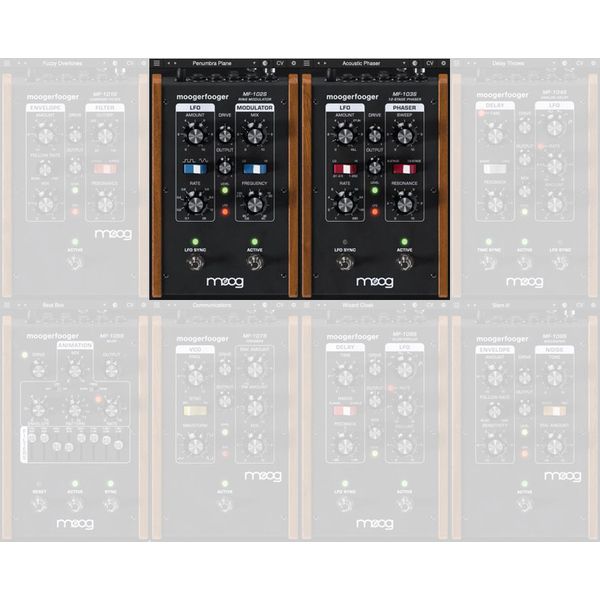 Moog Moogerfooger Custom Bundle 2