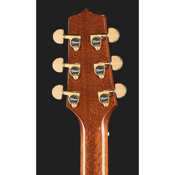 Takamine P5DC w/Softcase