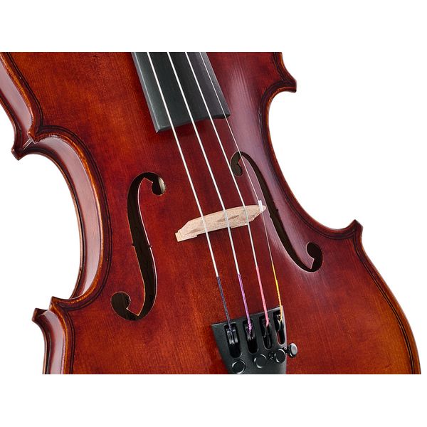 Gewa Maestro 6 Antiqued Violin 3/4