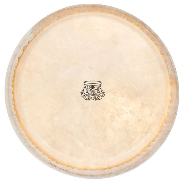 Thomann 10" Conga kangaroo head