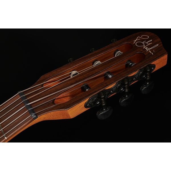 Godin Multiac Mundial Kanyon Burst