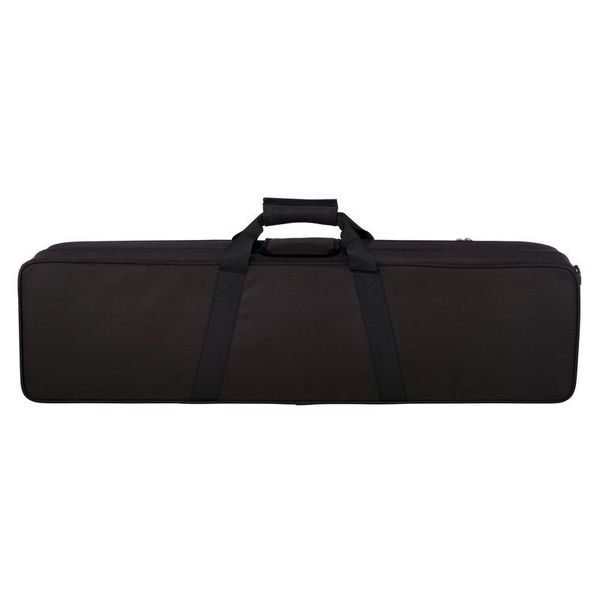 NS Design SVNC Standard Violin Case