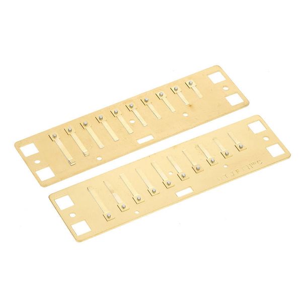 Lee Oskar Natural Minor Reedplates C