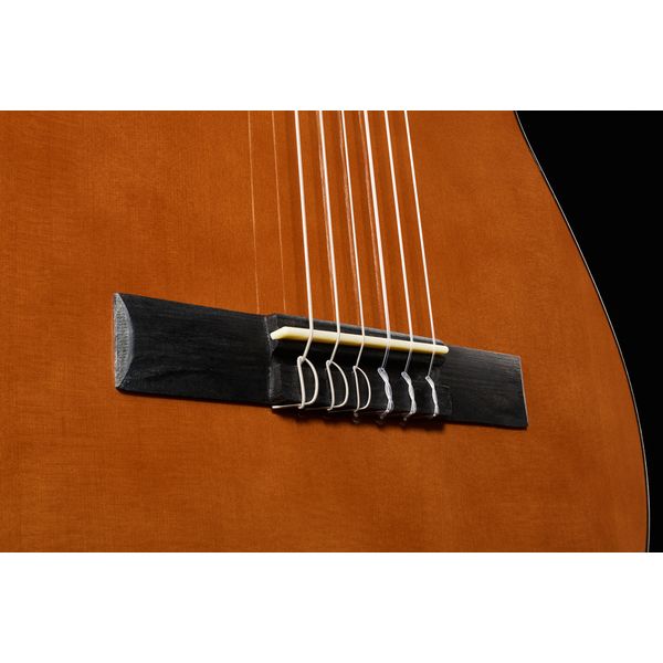 Harley Benton CG300CE NT