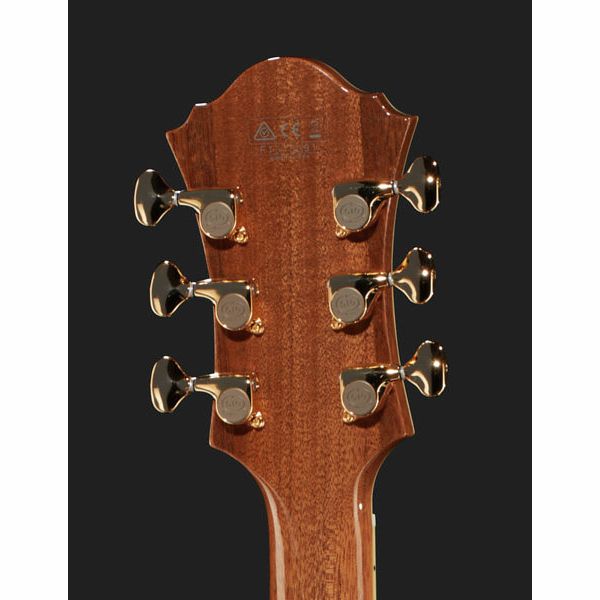 Ibanez PM200-NT Pat Metheny