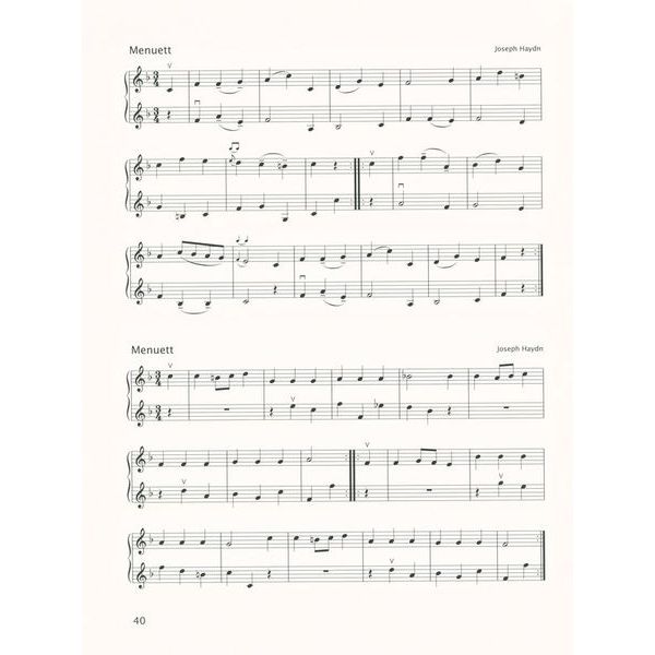 Brenreiter Samannshaus Anfang Geige 3