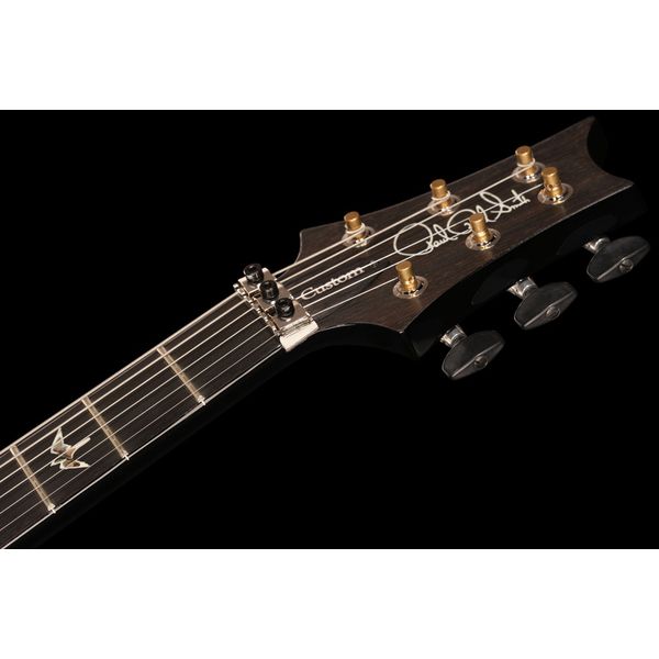 PRS Custom 24 Floyd CB 10 Top