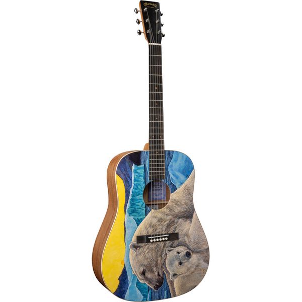 Martin Guitar D Bioshpere III