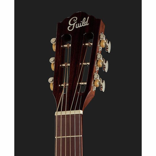 Guild P-240 Memoir Series