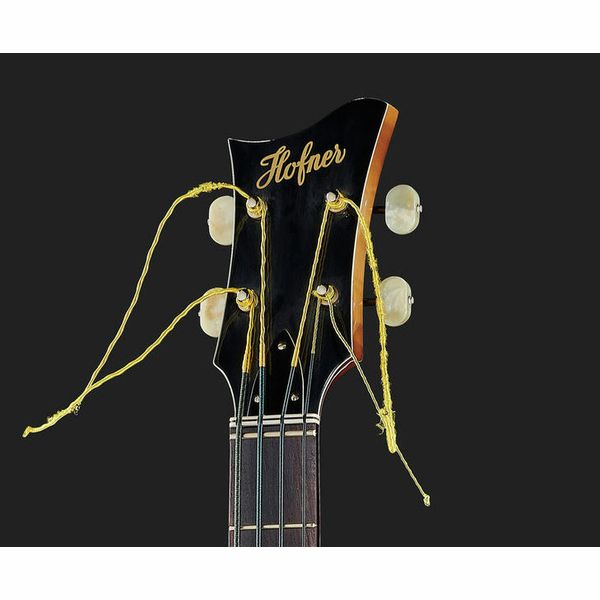 H&ouml;fner Violin Roof Top Bass 69