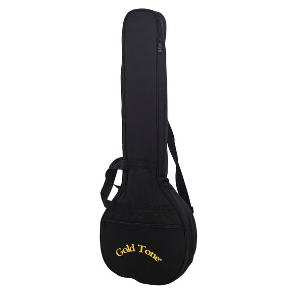 Gold Tone AC-1FL Open Back Fretless