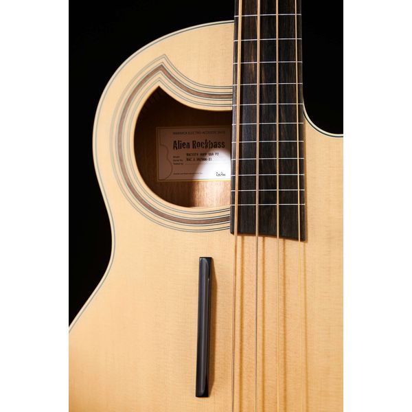 Warwick RB Alien Standard 4 FL NT