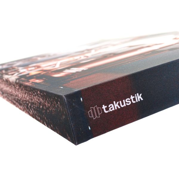 t.akustik Print Panel Shiny Mics