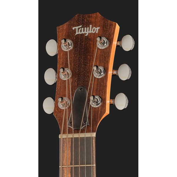 Taylor GS Mini-e Special Edition SF
