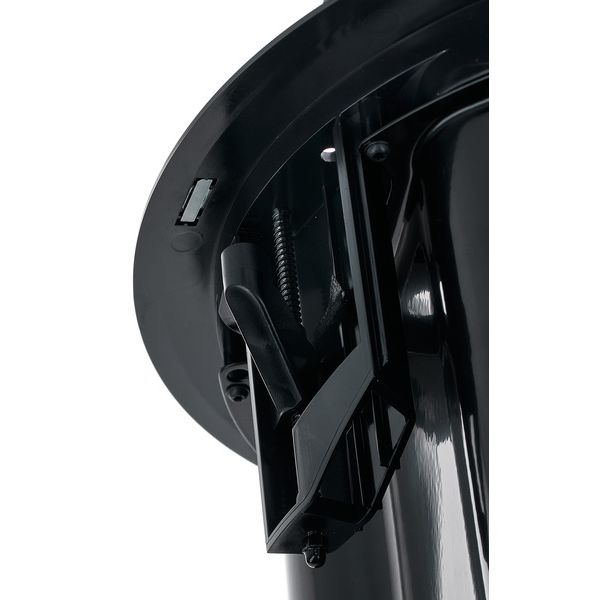 Bose Professional DesignMax DM5C black