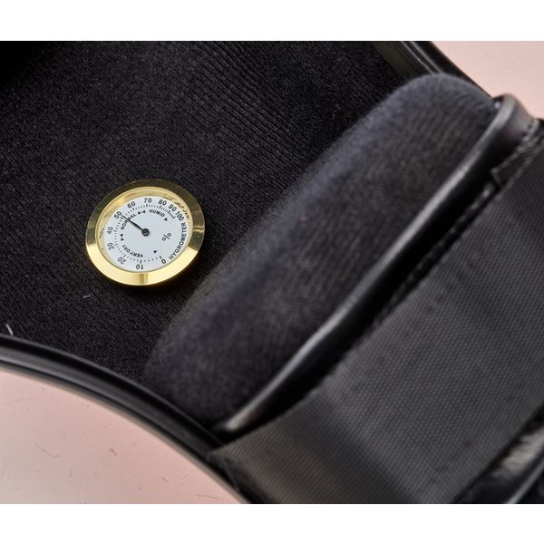 JW-eastman CE133 4/4 Cello Case POR