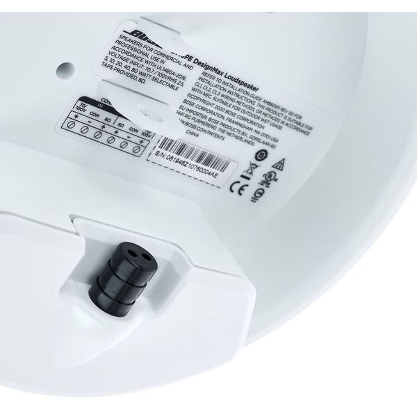 Bose Professional DesignMax DM6PE white