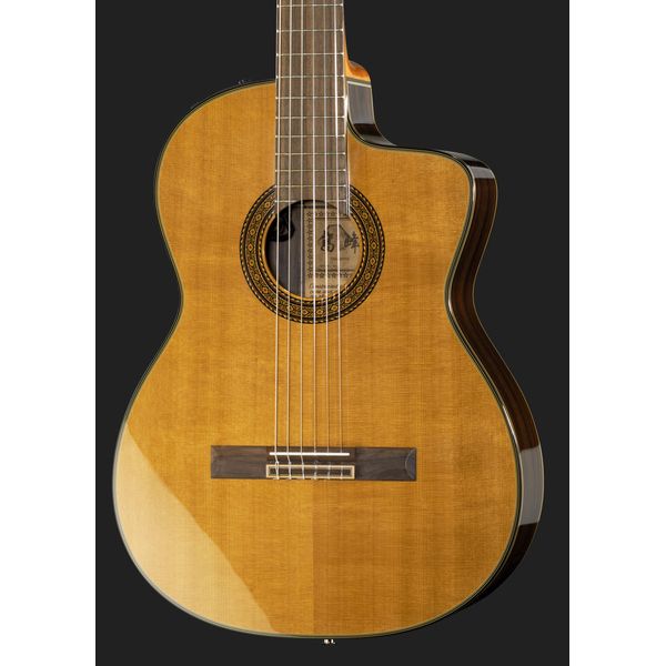 Takamine EC132SC w/Softcase