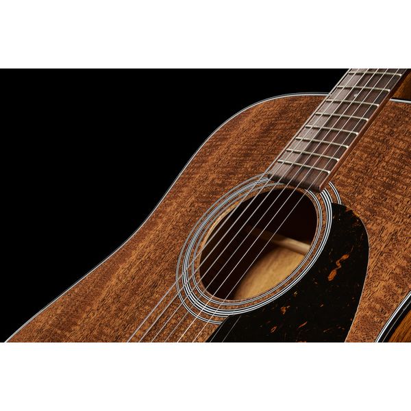 Martin Guitar D-19 190th anniversary