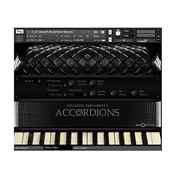 Best Service Accordions 2