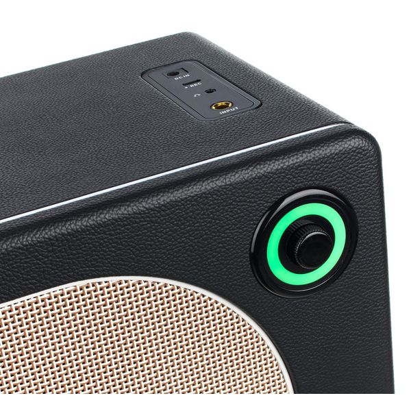 Mooer Hornet 30i Modeling Amp Black