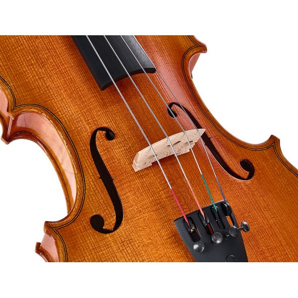 Alfred Stingl by H&ouml;fner AS-170-VA Viola Set 14"
