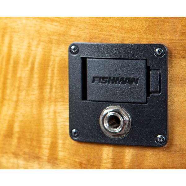 Breedlove Pursuit Exotic S Conc 12-St CE