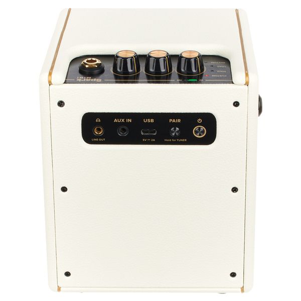 Positive Grid Spark Mini PW