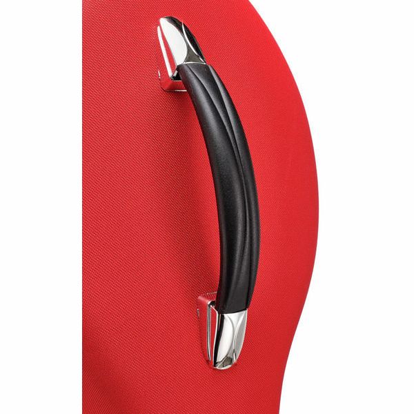 Roth & Junius Cello Light Case Eva RD 4/4