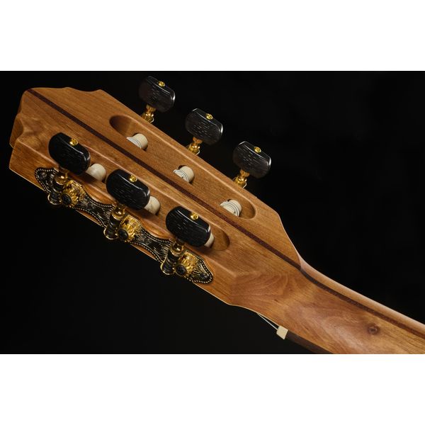 H&ouml;fner Meister Series HM65-F-CE