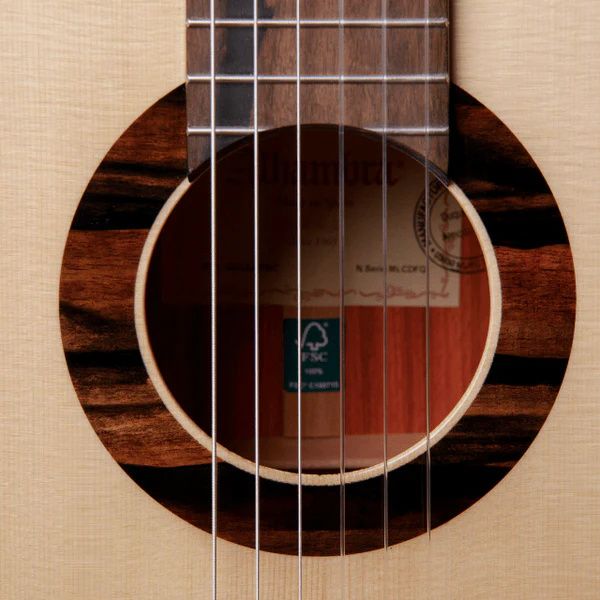 Alhambra Green Sustain Classical w/GBag