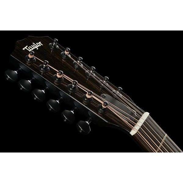 Taylor 250ce-BLK Plus