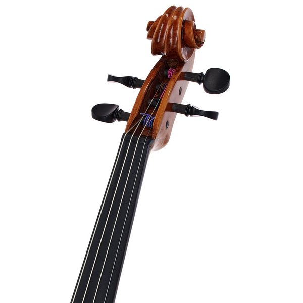 Bernd Hiller & Sohn Paolo Testore Viola