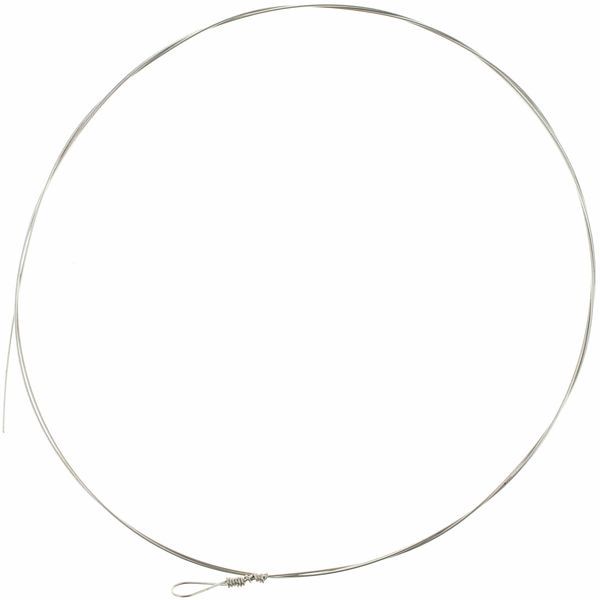 Romana Raffele Strings