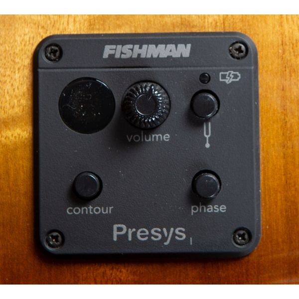 Breedlove Pursuit Exotic S Conc 12-St CE