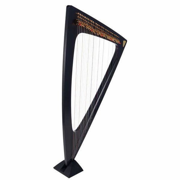 Salvi Delta Electric Harp Ebony