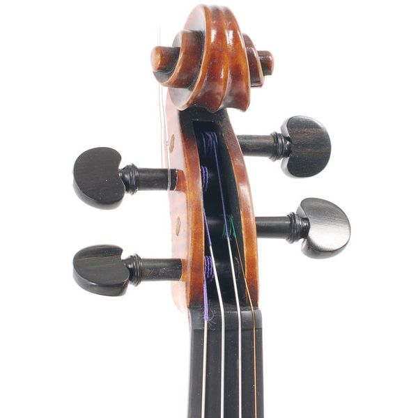 Karl H&ouml;fner H225-CB-V Carlo Bergonzi