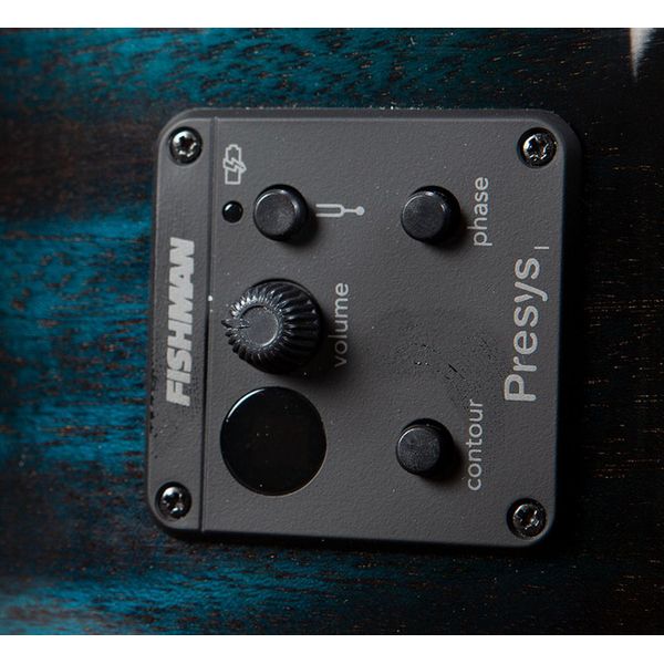 Breedlove Rainforest S Concert Papillon