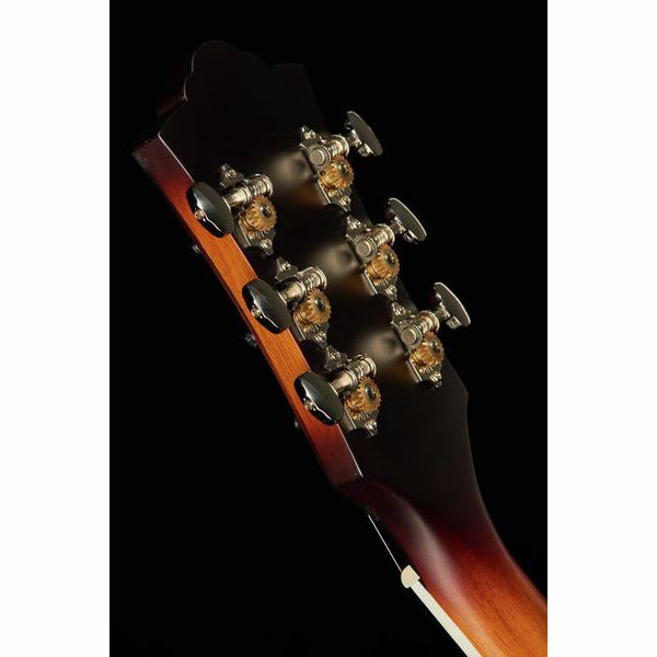 Guild F-250E Deluxe ATB