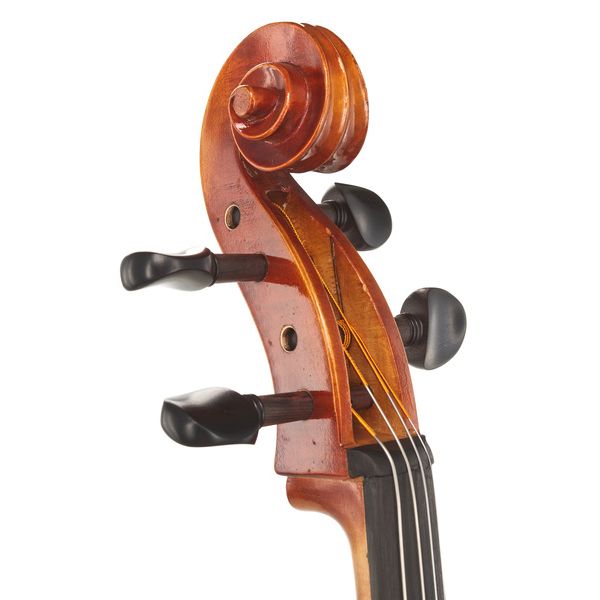 Gewa Maestro 1 Cello 4/4